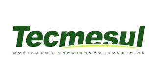 Tecmesul